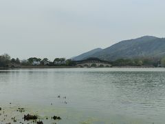 -长广溪湿地公园