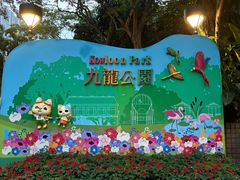 -九龙公园
