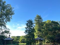 -上海滨江森林公园
