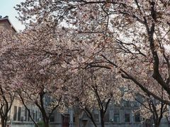 -山东师范大学(千佛山校区)