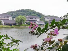 -鲁镇