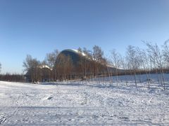 -哈尔滨大剧院