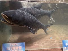 -上名堂·鱼头好吃(体育场路店)