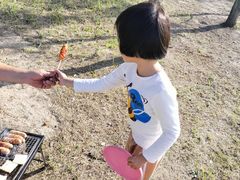 -春花秋色城市公园