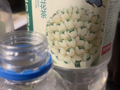 -桃花堤公园