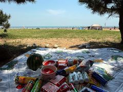-日照海滨国家森林公园