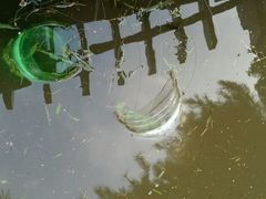 android_upload_pic-前关湿地公园