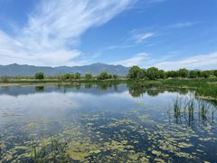 -野鸭湖国家湿地公园