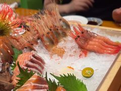 -月龍吟(朝龙汇店)