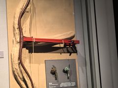 -秦始皇帝陵博物院-丽山园