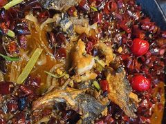 -老板恋上鱼(恒隆广场店)