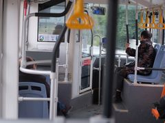 -白鹭湾湿地公园