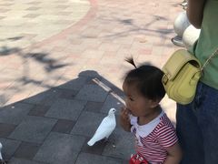 -国色天乡三期陆地乐园