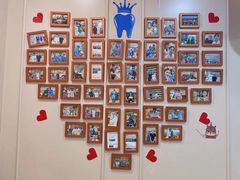 -启辰口腔(南坪店)