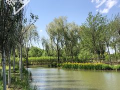 -东郊湿地公园