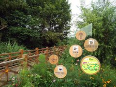 -桤木河湿地公园