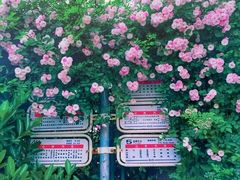 -金逸影城(光美江宁IMAX店)