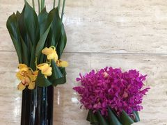 -上海龙之梦万丽酒店