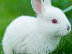 -惠州金海湾嘉华度假酒店