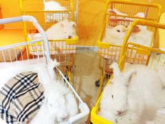 -茂业百货(东门店)