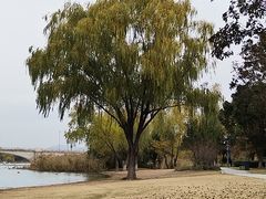 -长广溪湿地公园