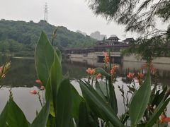 -重庆彩云湖湿地公园