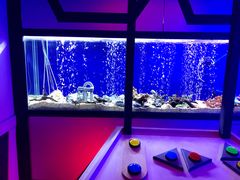 -MOJO密室逃脱(中街旗舰店)