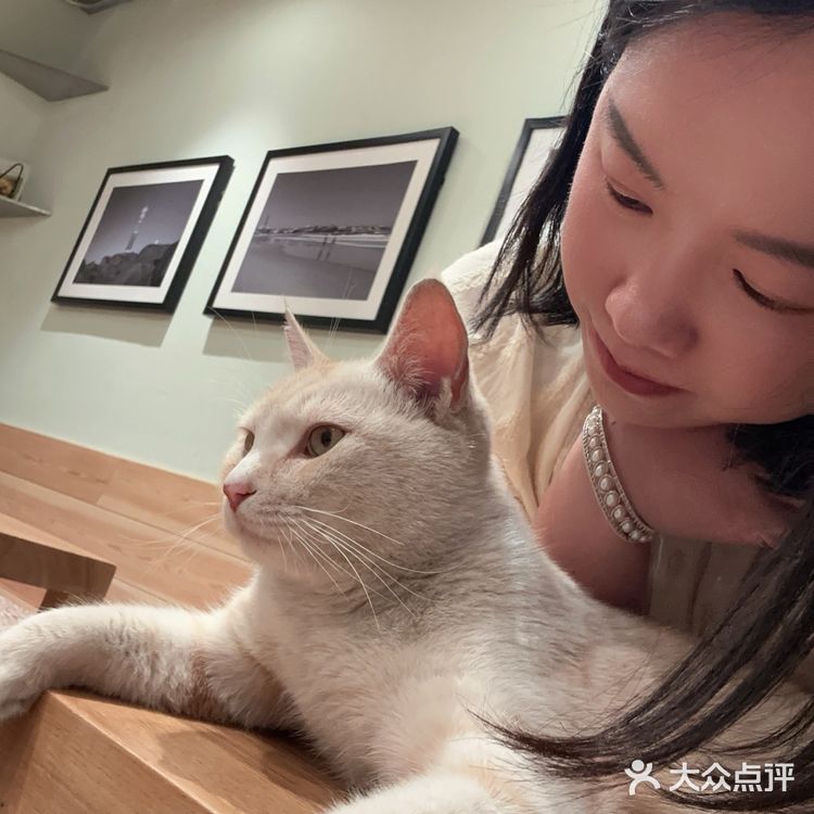 找到了胡同里空间很大的咖啡馆！木质风还有猫！