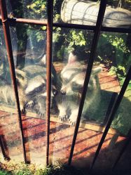 -萌宠亲子动物乐园(槐房万达店)