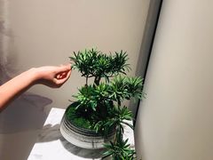 -次第花开素食雅宴