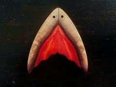 -五月木作·DIY木作文创体验店(北京路店)