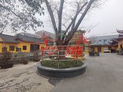 -会龙寺