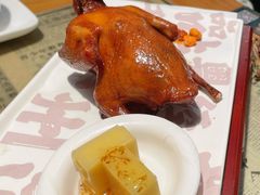 红烧乳鸽-大鸽饭(北京路店)
