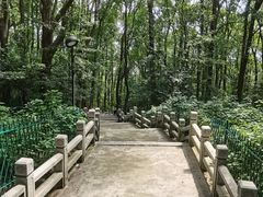 -灵岩山风景区