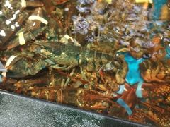 -盒马鲜生(皇庭广场店)