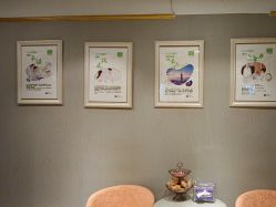 -Dr.林醫生产后修复·配方产康(南京江宁万达店)