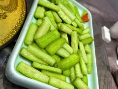 -丁老爷子苏香圆