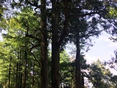 -丹山赤水风景名胜区