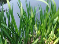 -北海道厅旧本厅舍(旧本庁舎)