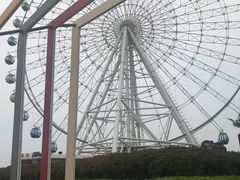 -琴岛之星摩天轮