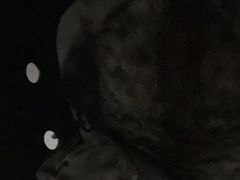 -伟伟宠物医院·瑞派猫友好医院·猫科(光谷店)
