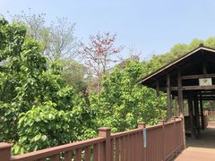 -柳州市动物园