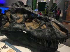 -香港科学馆