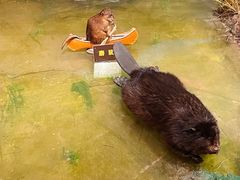 -陕西自然博物馆