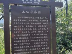 -阳台山自然风景区