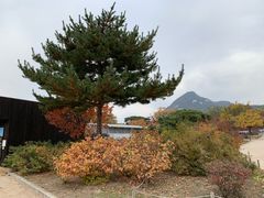 -景福宫