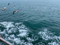 -海驴岛(荣成市)