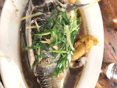 清蒸白侧鱼-顺发饭店