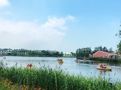 -上海长兴岛郊野公园