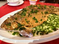 -粤北餐馆